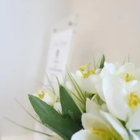 奎特洛坎托尼酒店 招待所